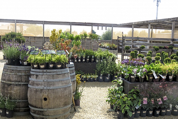 Tasmulch Nursery